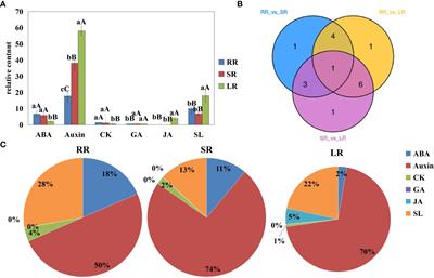 Comparison of transcriptome and metabolome analysis revealed cold-resistant metabolic pathways in cucumber roots under low-temperature stress in root zone